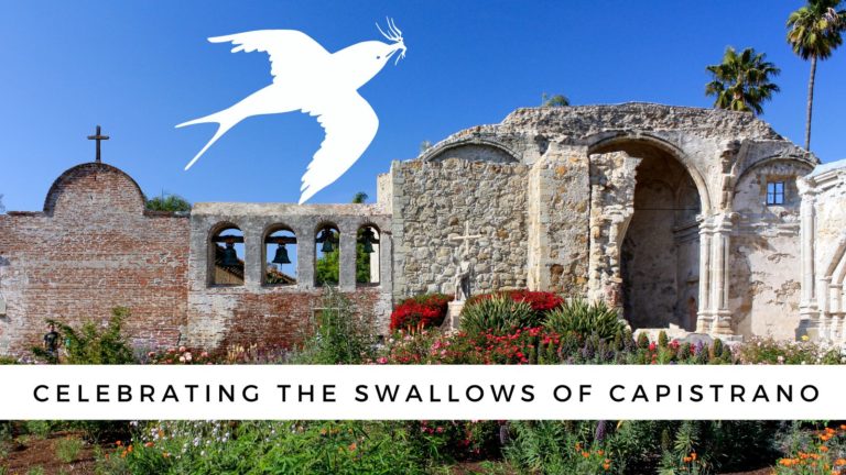 Return Of The Swallows Celebration Day International Swallows Depart   San Juan Capistrano 768x432 