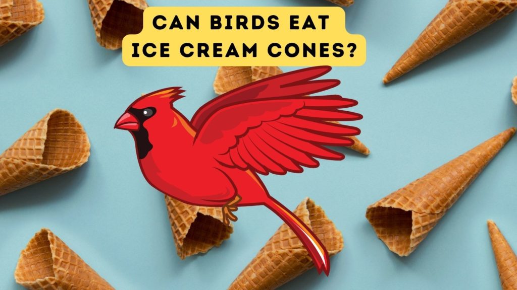 image of ice cream cones with illustration of Cardinal in center of image with words "can birds eat ice cream cones" on top portion of image