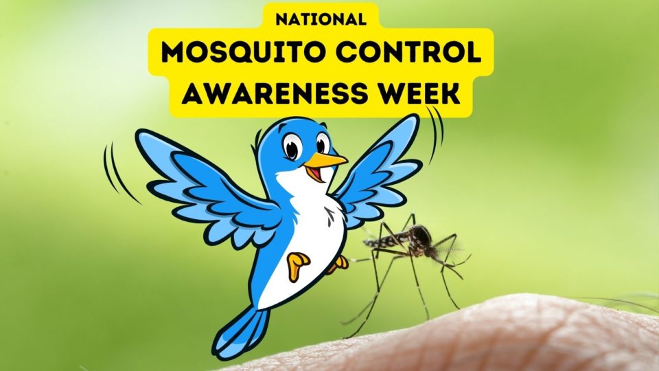 National Mosquito Control Awareness Week