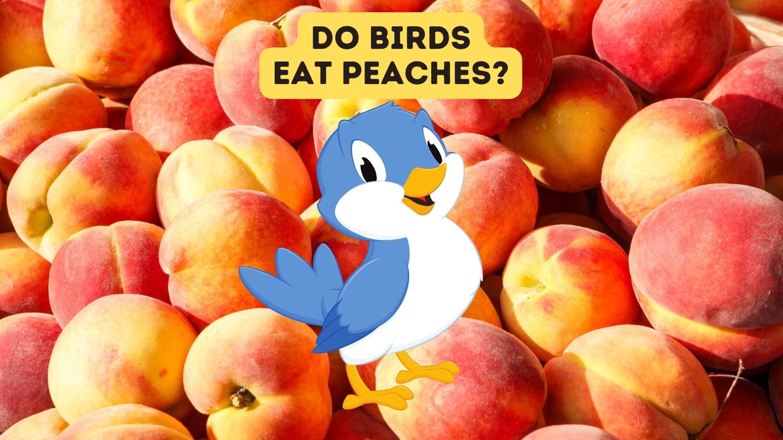 Can Birds Eat Peaches?