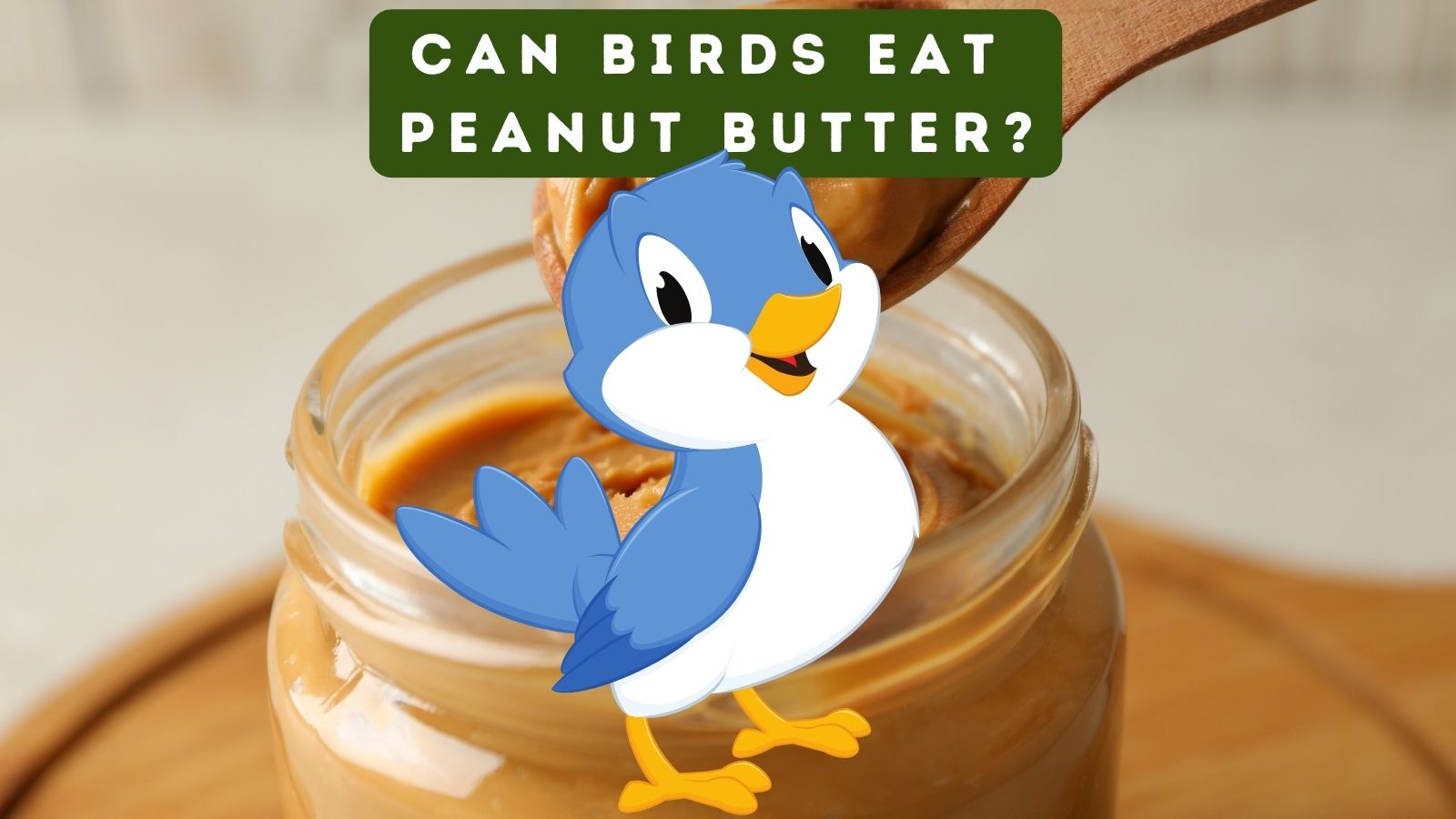 Can Birds Eat Peanut Butter?