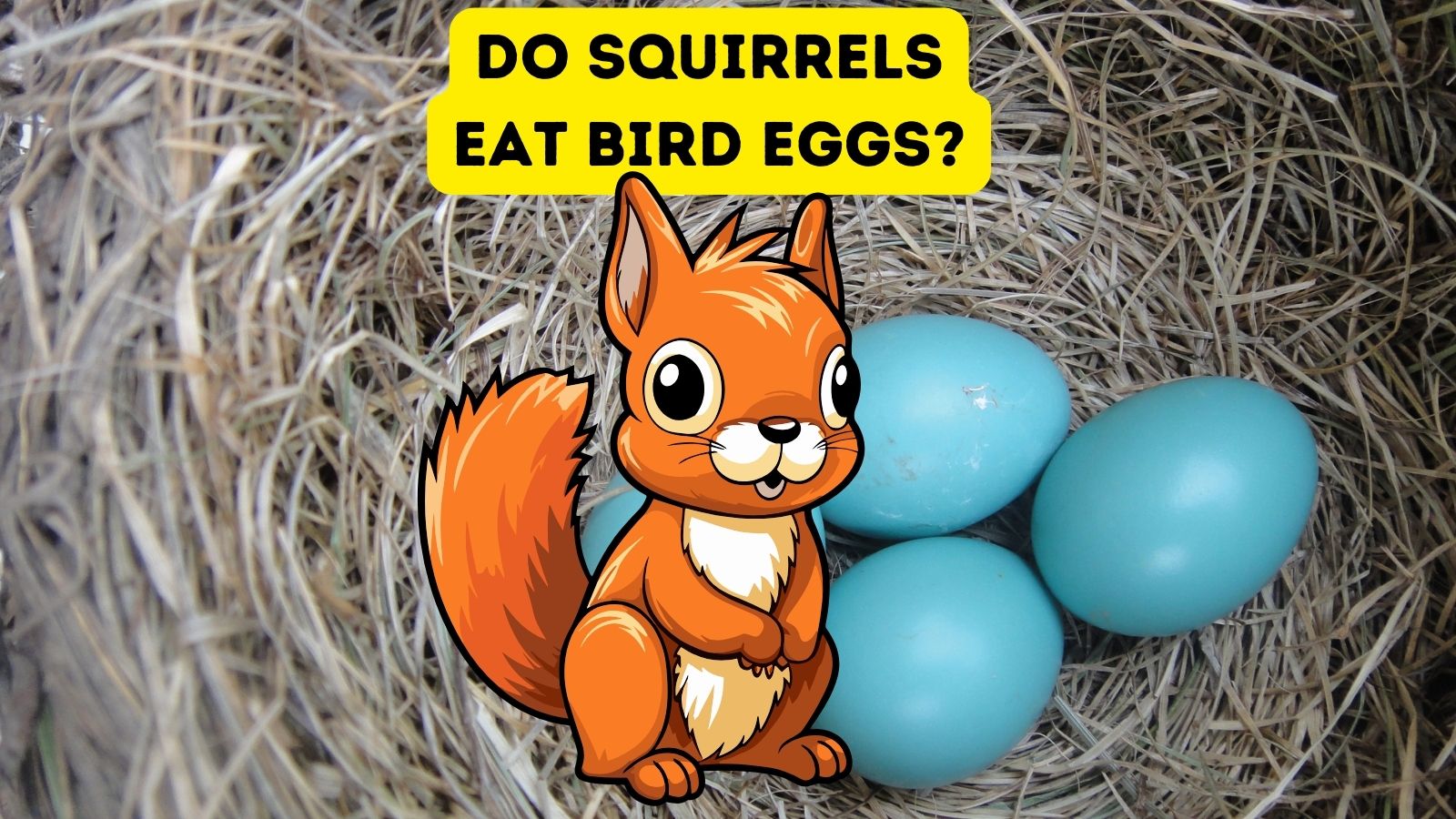 Do Squirrels Eat Bird Eggs?