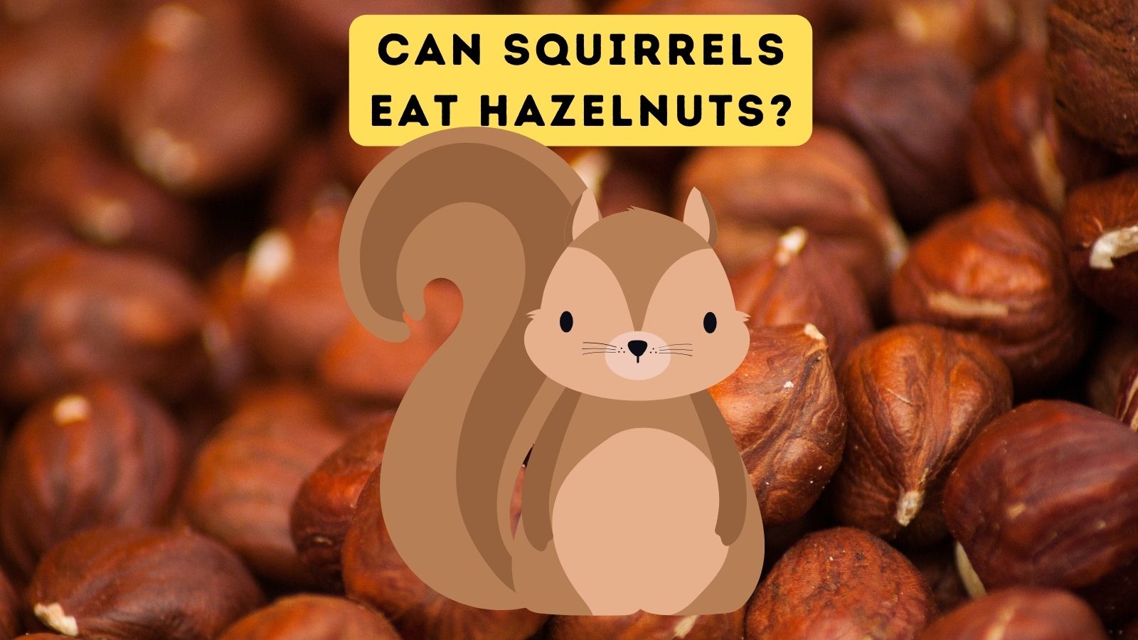 Can Squirrels Eat Hazelnuts?