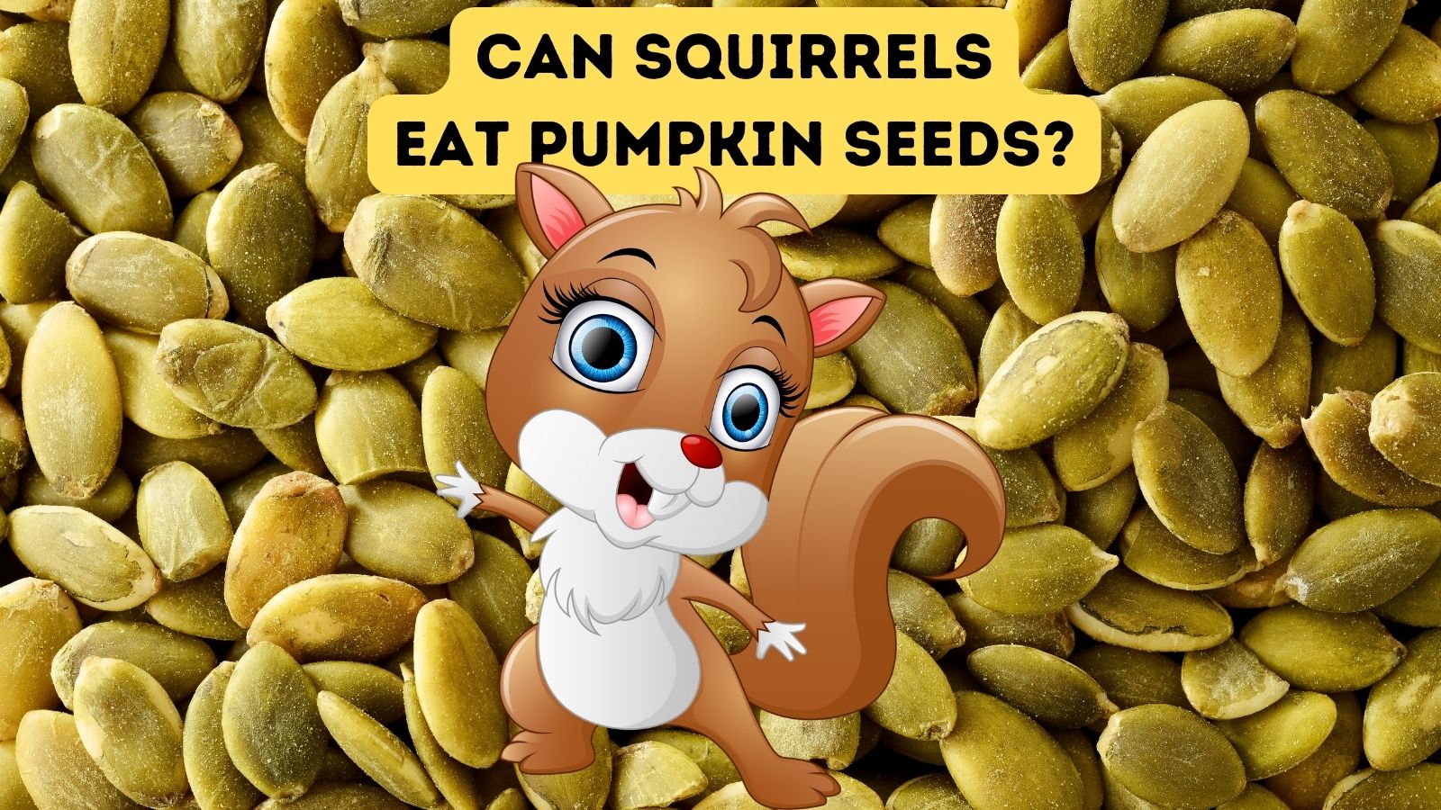 Can Squirrels Eat Pumpkin Seeds?