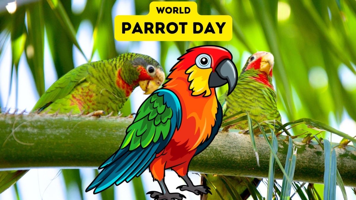 World Parrot Day