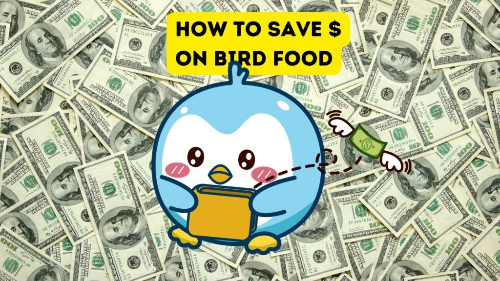 background image of US money with a cartoon blue bird in center of image and money flying out of the billfold the bird is holding