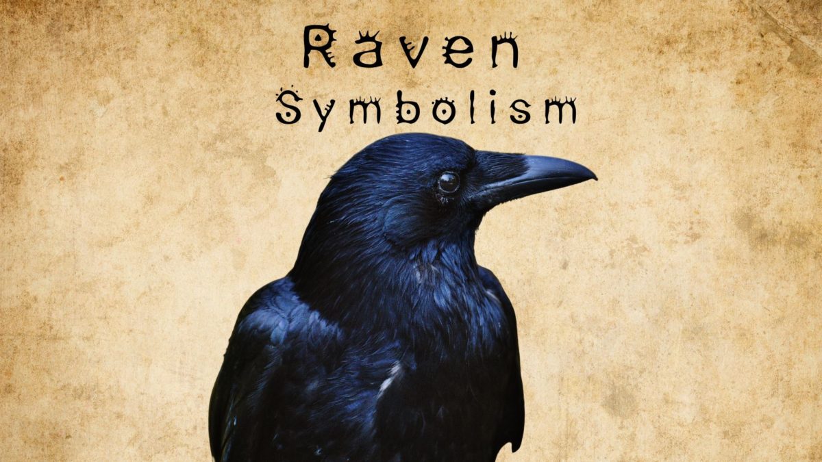 Raven Symbolism - The Meaning of This Bird Across the Globe