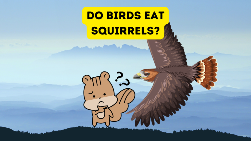 background of mountainous forest with graphic of squirrel and hawk