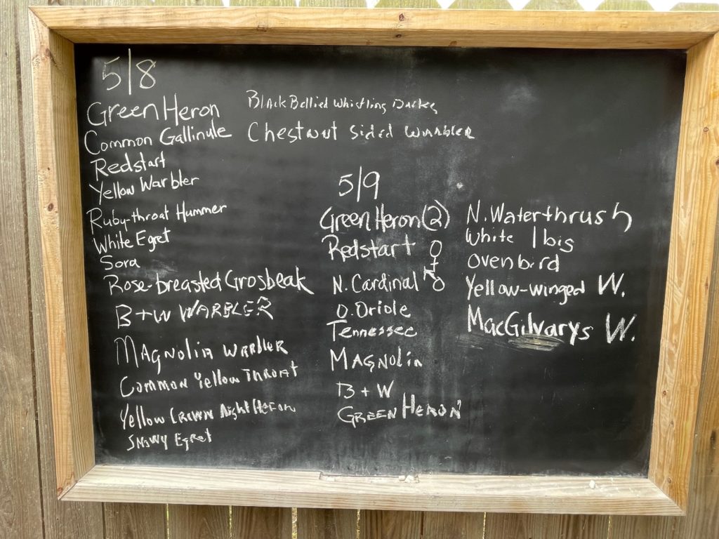 chalkboard of birds sighted at bird preserve for the day