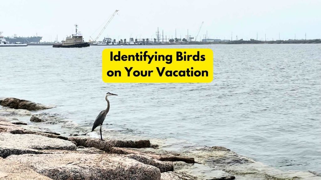 South Jetty, Port Aransas, Texas